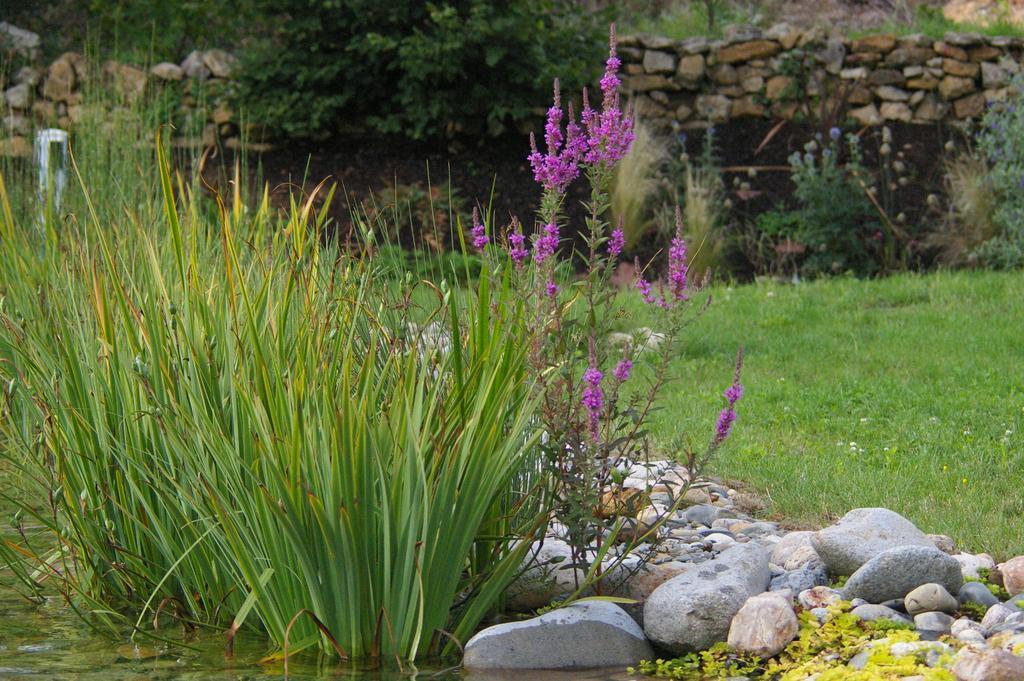 Bed and Breakfast Le Hameau Du Quercy Frontenac  Esterno foto