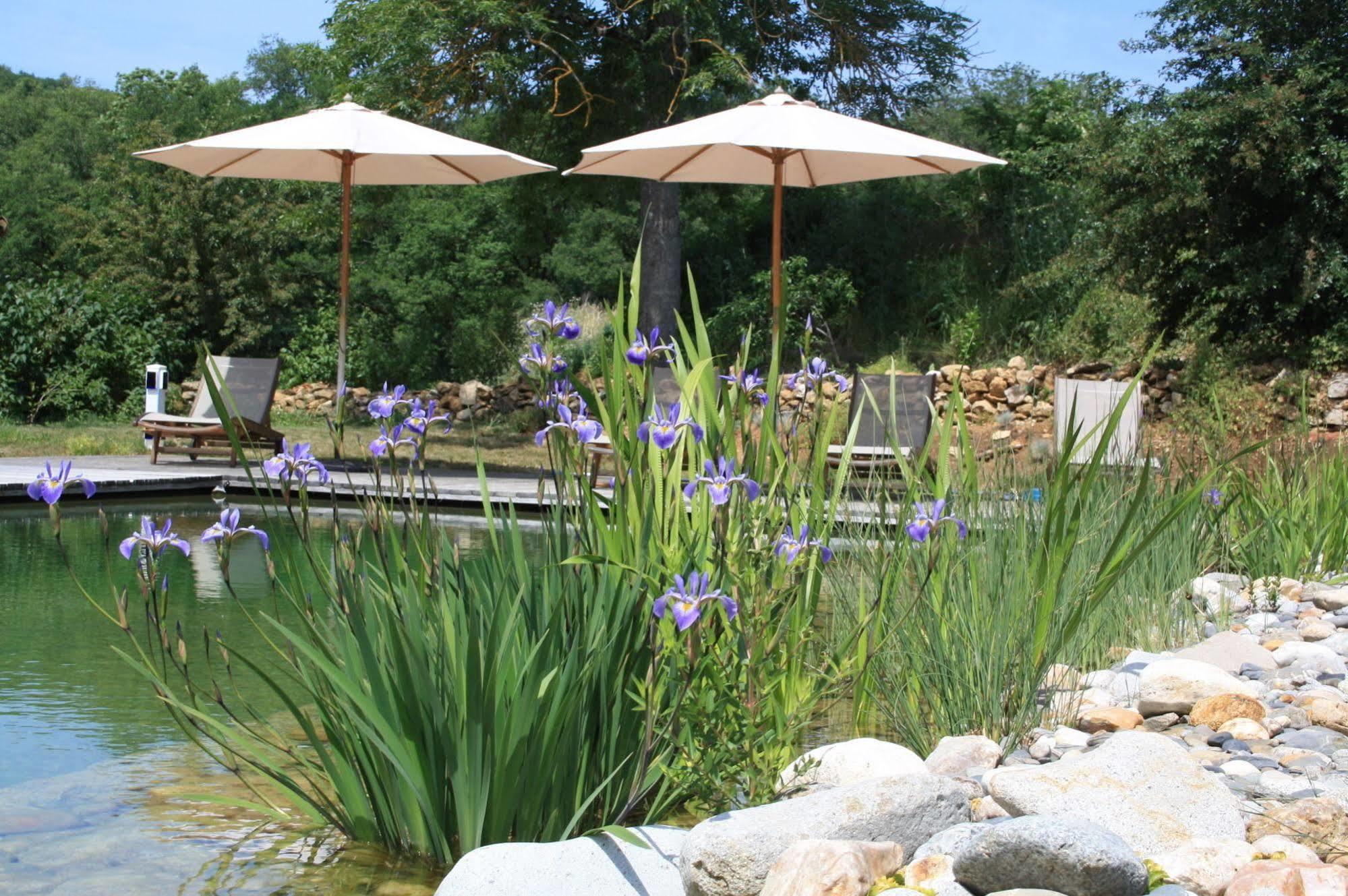 Bed and Breakfast Le Hameau Du Quercy Frontenac  Esterno foto